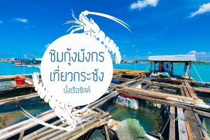 ชิมกุ้งมังกร เที่ยวกระชัง นั่งเรือชิลล์-2