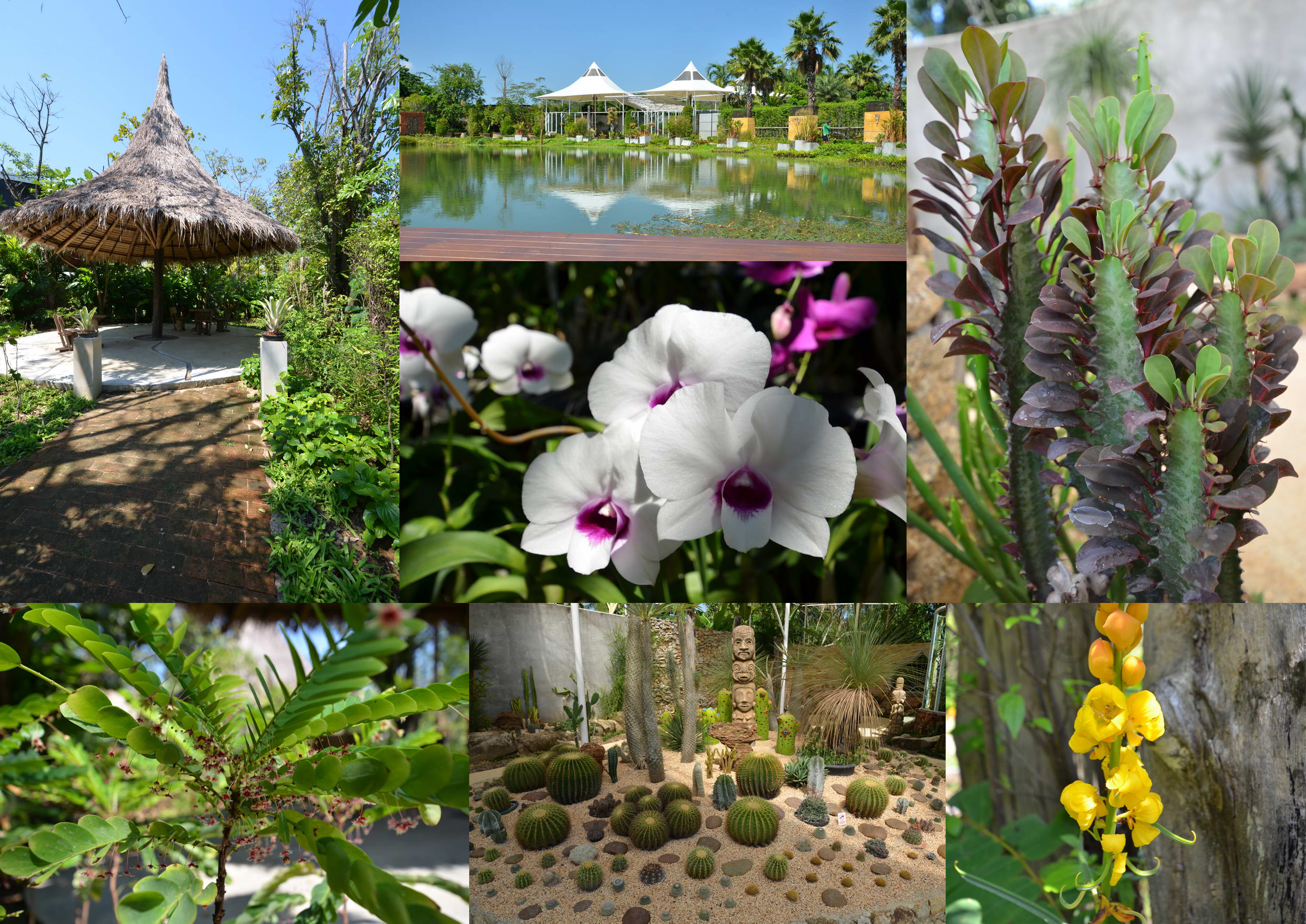 phuket-e-magazine