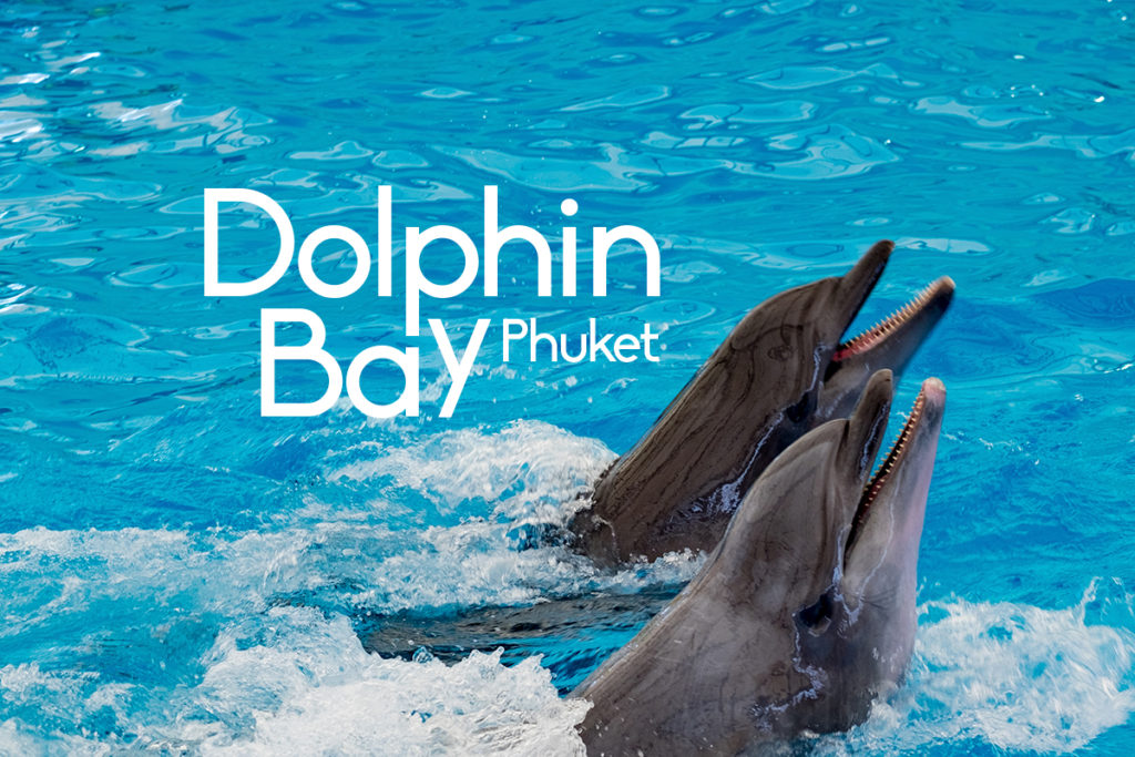 Dolphin Bay Phuket-1