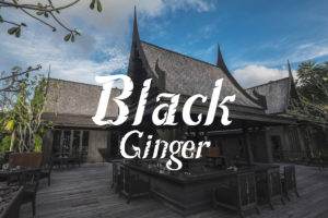 Black Ginger-1
